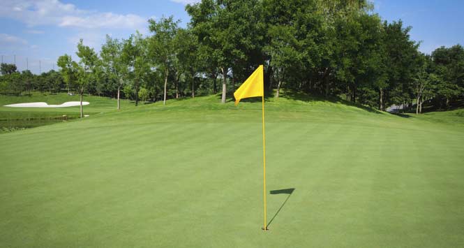 how to display golf flags